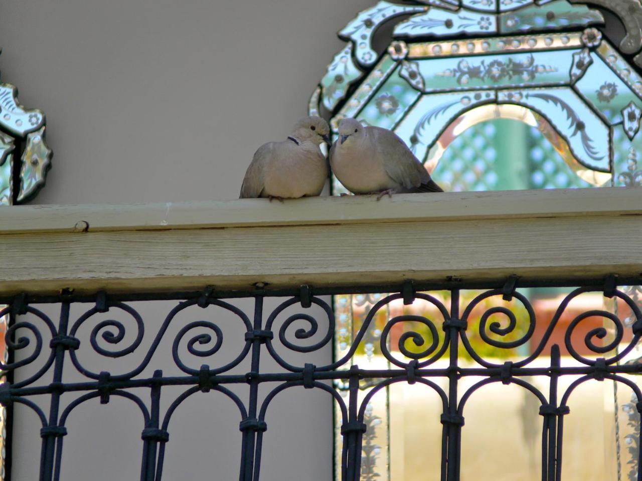 Riad El Mezouar Marrakesh Esterno foto